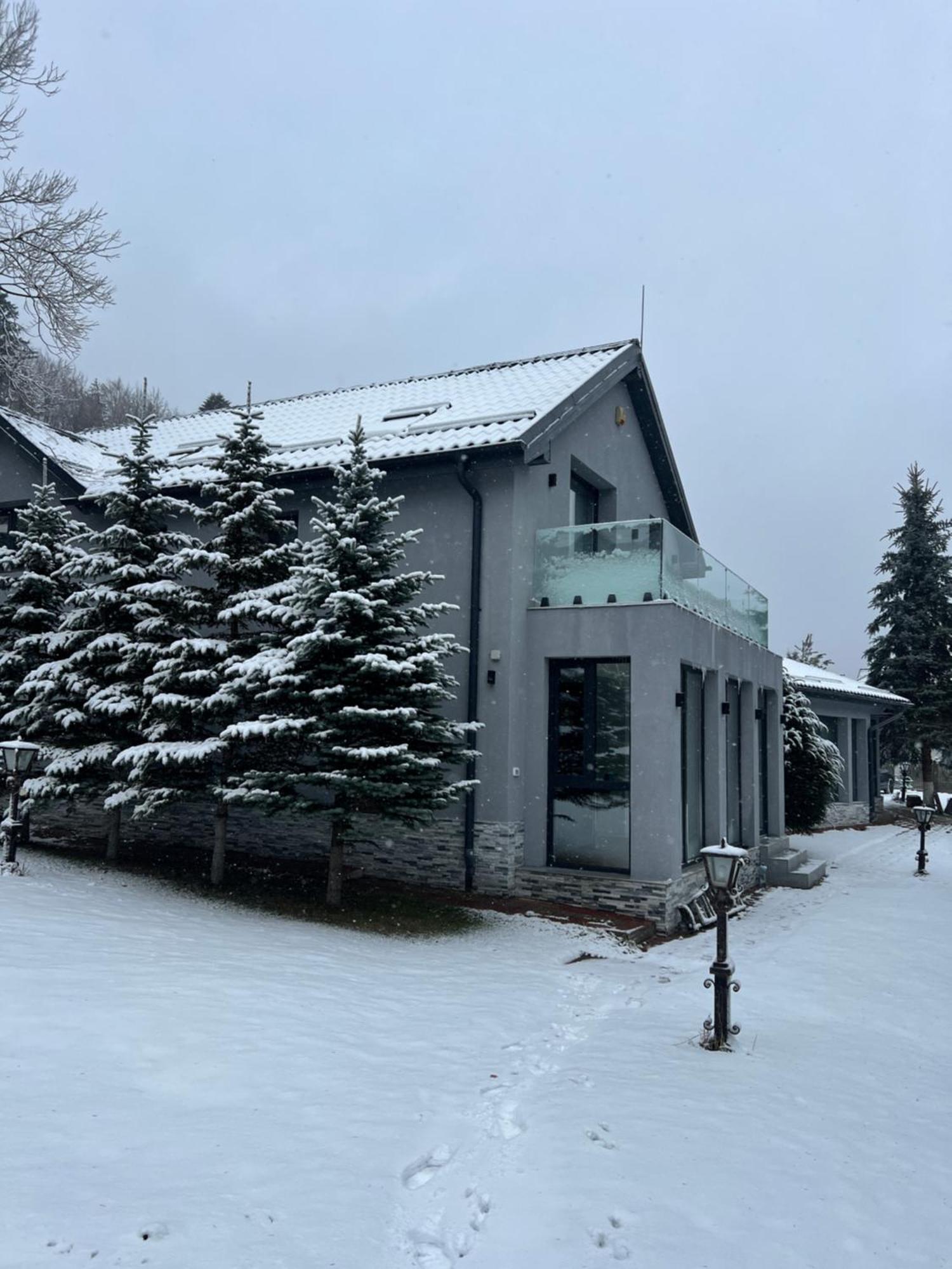 Vilă Luxurious Sinaia